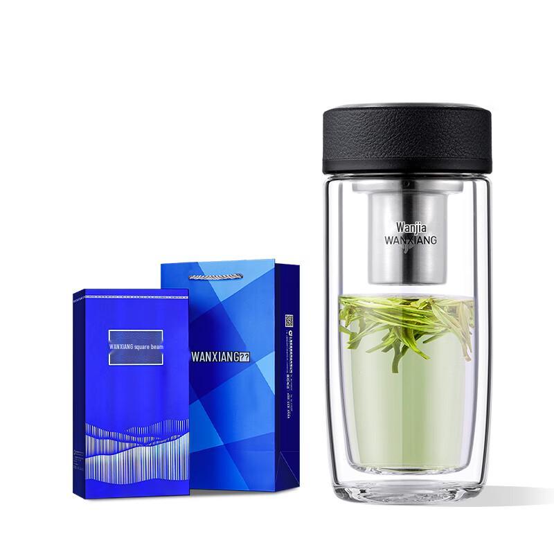 

V17L Double-Layer Borosilicate Glass Tea Infuser Bottle