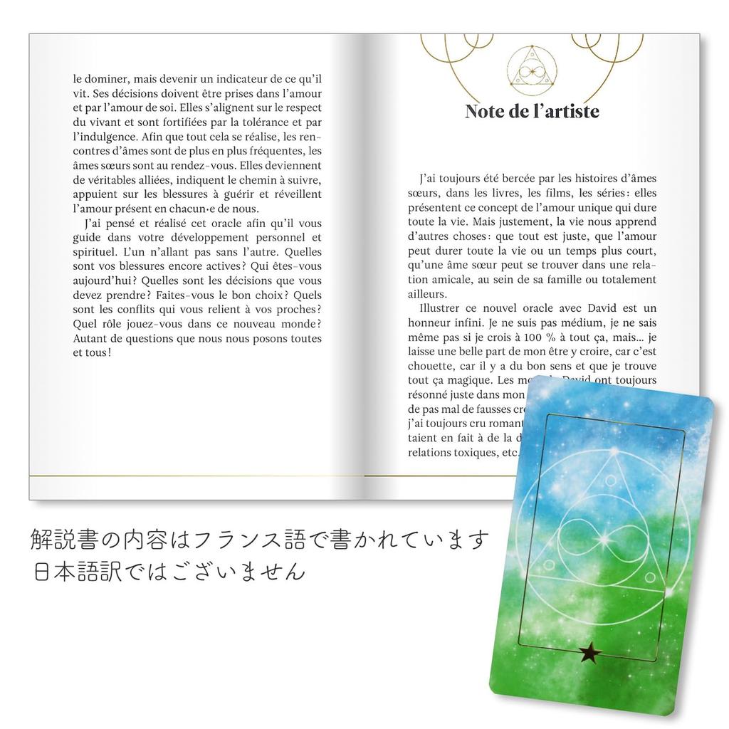 [Authentic] Messages from Your Soulmate [Oracle Card Meanings In Japanese] Tarot Card Fortune Telling