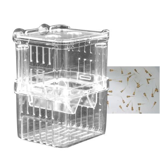 Dvouvrstvá průhledná nádrž pro chov ryb Všestranný akvarijní izolační box