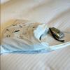 Cats Can Bee Eco Bag