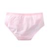 Teenager Briefs Girls Underwear Cotton Briefs Sports Letters Breathable Briefs Pupils 8-12-14 Years