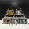 Personalized small bag 2025 new fashion niche snake pattern handbag women's versatile chain messenger box bag tide