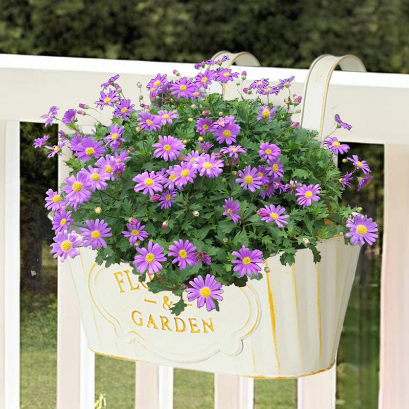 Metal Iron Hanging Flower Pots Wall Mounted Window Box Outdoor Plants Planter Railing Planter Oval Hanging Pot for Fence Garden