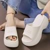 Fashion Female Shoes Womens Slippers Outdoor Platform Luxury Slides Heeled Mules 2025 Summer Flat Designer High Fashion Female Shoes Sli