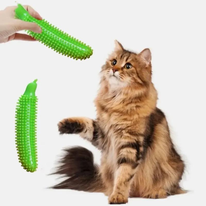 Bâtonnet à râper les dents pour chien Forme concombre Résistant à la morsure TPE Jouet à mâcher pour chien Résistant à l'usure Bâtonnet molaire pour animal de compagnie Nettoyage des dents