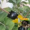 Air Stratified Plant  Rooting  Device Rooting Ball Garden Fruit Tree Seedling Growing Device