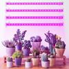 1/2/3/4 Red Blue LED Grow Light Strip Tube Indoor Plant USB Full Spectrum Phyto Lamp Dimmable Timer Seedlings Vegs Flower Lamp
