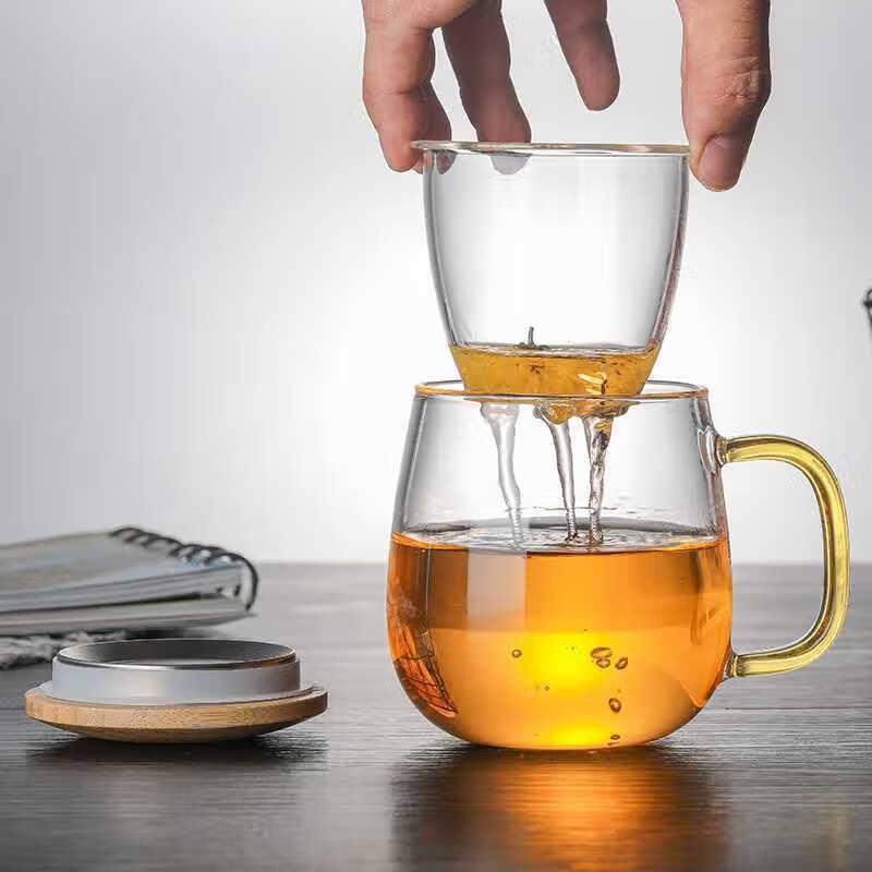 Heat-Resistant Glass Teacup with Infuser & Handle