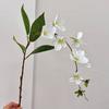 Yousheng 31.5" Artificial Jasmine Flower Fake Hanging Plants Long Stem Faux Bouquet for Bridal Shower Party Home Wedding