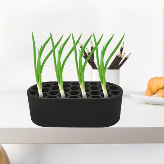 Hydroponic Planting Tray Scallion Regenerator Seedlings Starter Tray Indoor Home