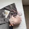 IELGY Ladies Handbag Autumn Winter Fashionable All-Match Cross-Body Plush Bag