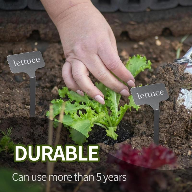 Étiquettes de Plantes en Acier Inoxydable Résistantes aux Intempéries Avec Stylo Marqueur Inclus Pour Marqueurs de Jardinage Résistants aux Intempéries Pack de 10