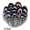 Natural Pheasant Feathers Peacock Feather Eagle Small Plume Handicraft Accessories Jewelry Creation Holiday Decoration