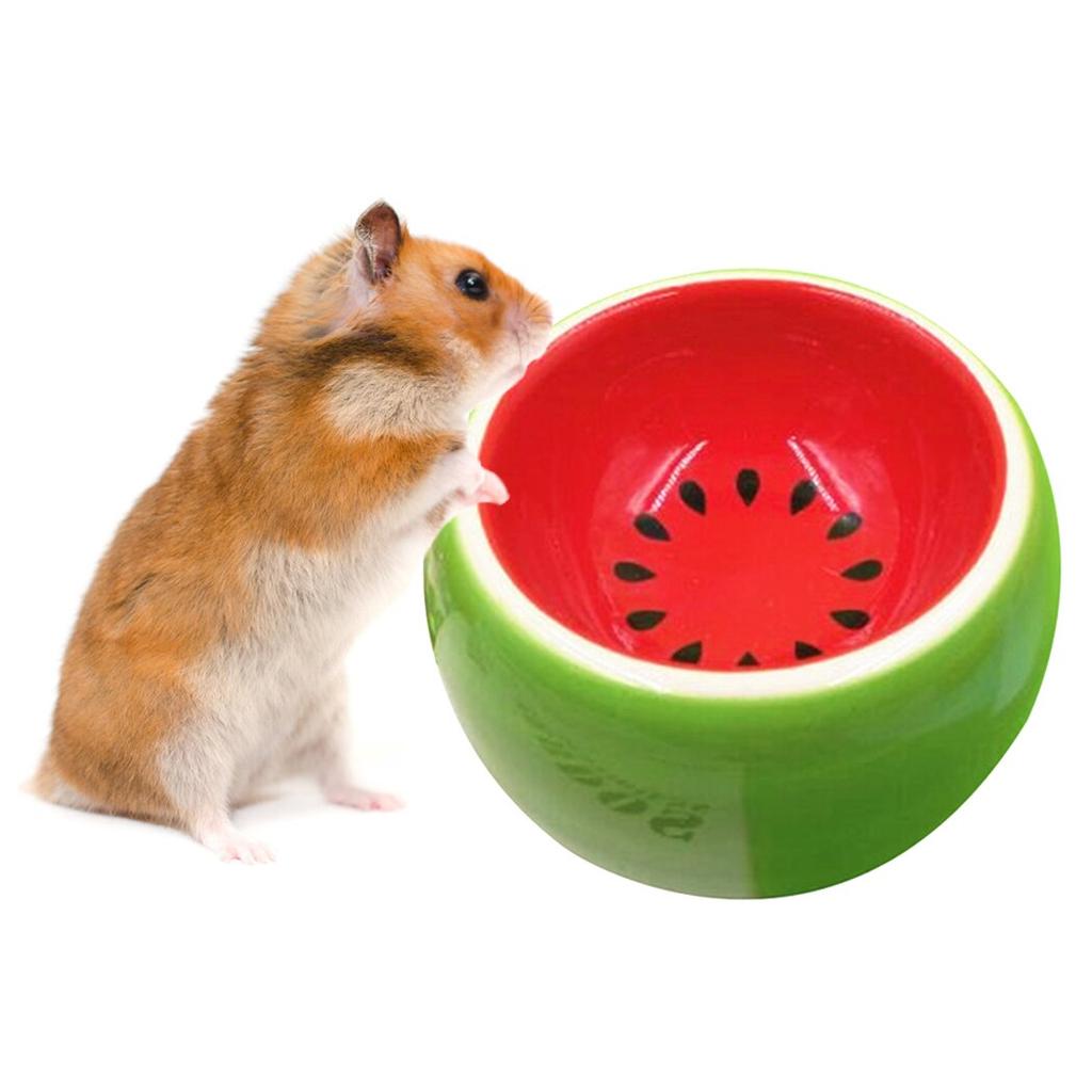 hamster bowl