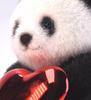 JXK Animal Series Love Panda Figure JXK177 "AC"