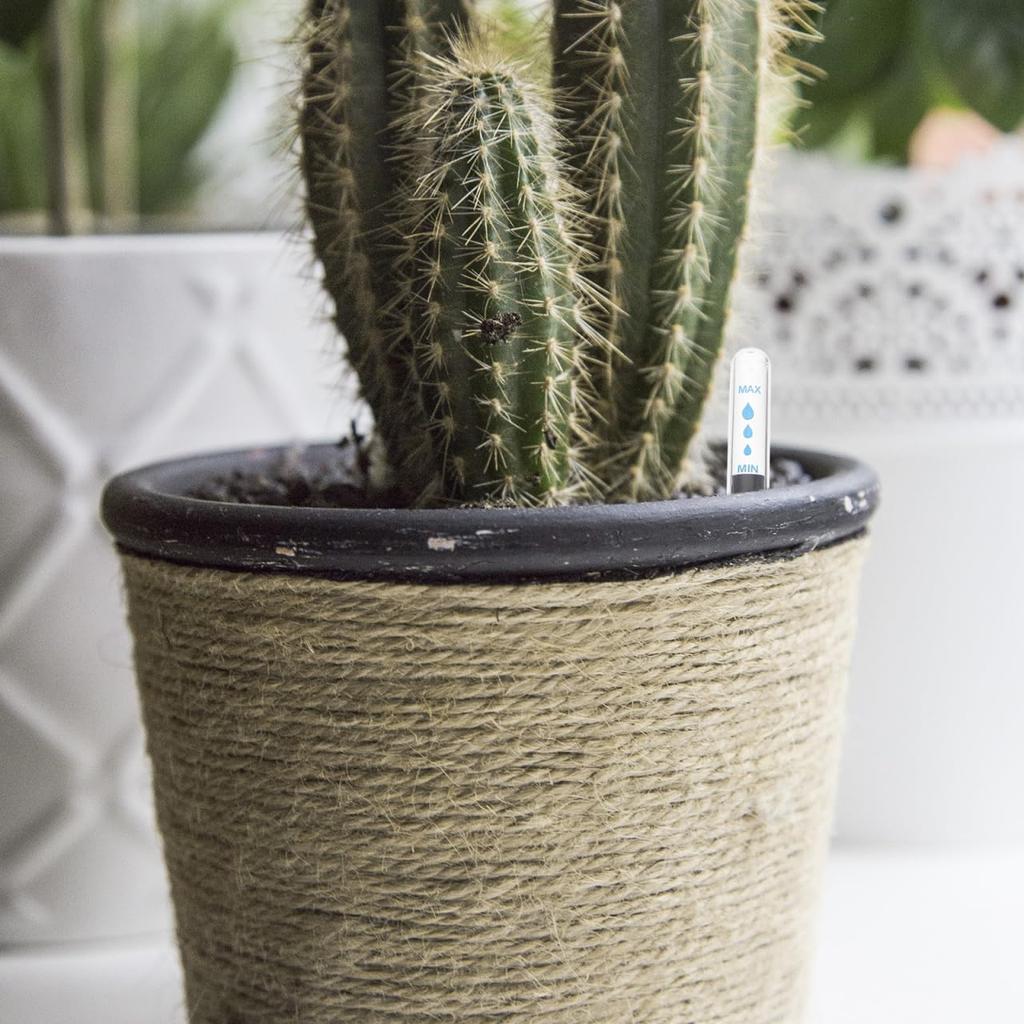 BESTOYARD 20 Pcs Water Level Indicators for Flowerpot, Water Shortage Reminders, Gauge for Garden, Indoor, Greenhouse Planting