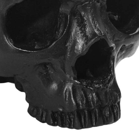 Yousheng Resin Skull Ornament, Dark Style Skull Halloween Prop, Sturdy Durable Teaching Model, Matte Black Anatomy