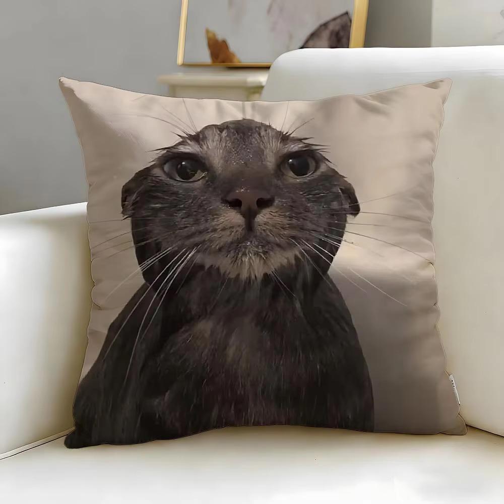 Double Sided Funny Cat Meme Throw Pillow Cover, Soft Short Plush Polyester Cushion for Sofa Bedroom Home Decor Gift