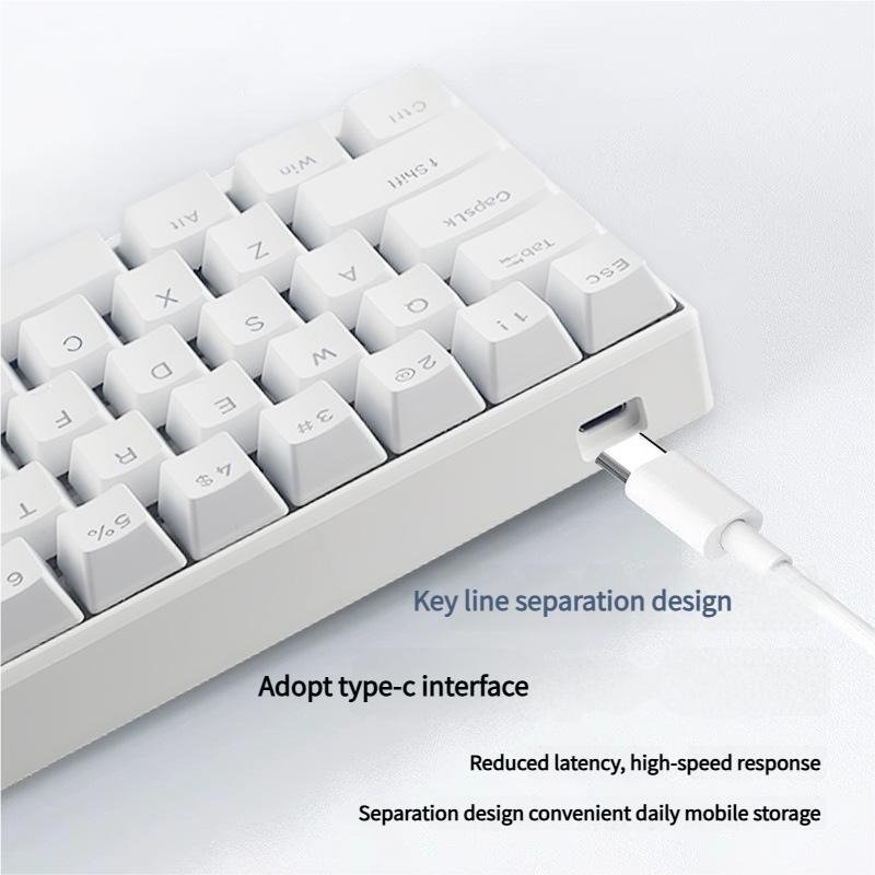 Mini Design Custom 68-Key Wired Mechanical Gaming Keyboard Red Axis Switches USB Type-C RGB Backlit 60% Gamer Keyboard
