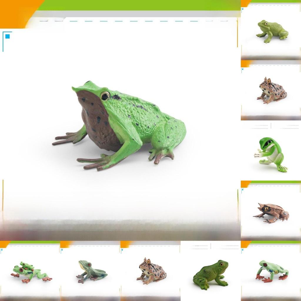Wildlife Pvc Animal Models With Realistic Frog Collection For Children Educational Decor