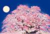 BEVERLY 1000-Piece Jigsaw Puzzle "Garyu Sakura" (49 X 72 Cm) 1000-047 (Made In Japan)