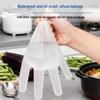 Inco Healthcare Disposable Food Contact PE Gloves