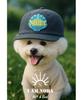 Nola Venus Line Ball Cap - Gray