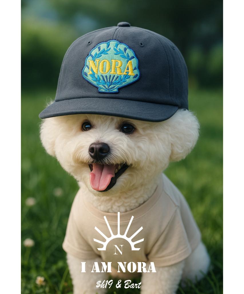 Nola Venus Line Ball Cap - Gray