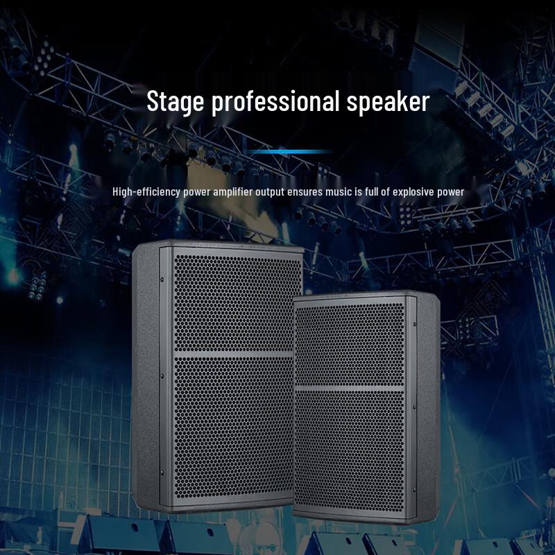 Runpu Professional Audio Speakers for Conference & Venue (CN version)
