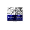 Medicube Zero Exosome Shot 7,500 PPM Spicule Facial Serum | Liquid Skin Booster Serum | Exosome, AHA+BHA+PHA | Pore Care, Dead Skin Cells, Skin Textur