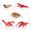 Simulation Of Marine Animal Crayfish Growth Cycle Model Crayfish Growth Process Static Ornament