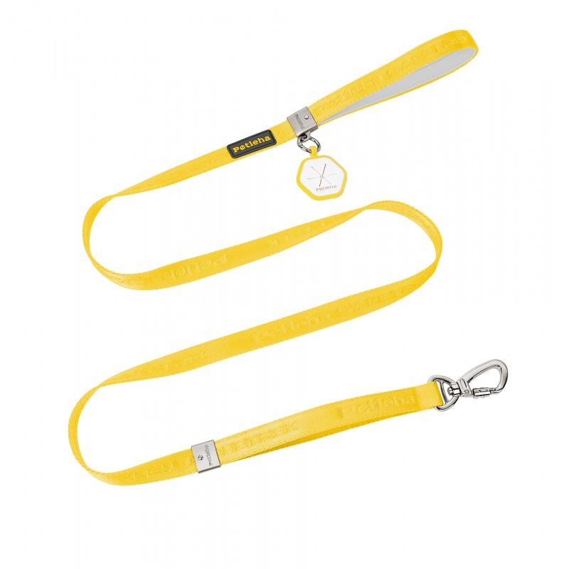 Dog Leash No Hand Chafe Small Large Dogs Pet Walking Lead S M Length Options