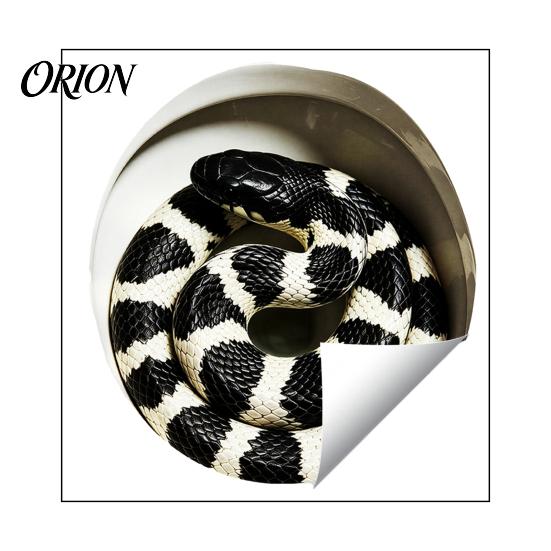 Creative Home Soft Decoration Realistic Snake Toilet Seat Sticker, PVC Waterproof Python Funny Vinyl Sticker Decal, Lid for Bathroom Wall Art