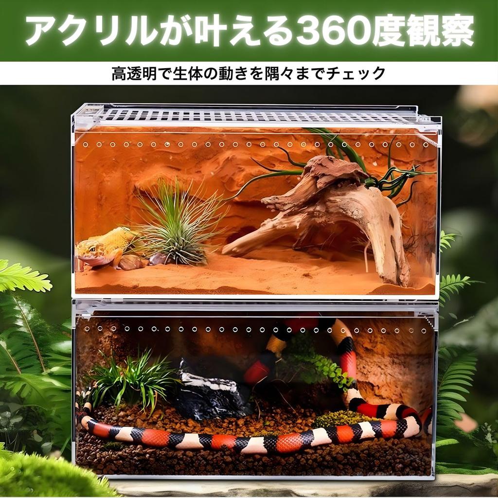 SESHIS Reptile Cage Box, Acrylic, Transparent, 20x15x10cm, Single Item