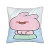 Asamimichan and Anemimi Pillowcase Product Soft Cushion Cover  Throw Pillow Cover Car Decoration Square Multi Size