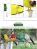 Neidische Porzellan-Papageienfigur mit Federn: Kleines Vogelmodell zur Dekoration für Haus und Garten