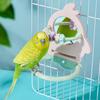 Interactive Little Bird Relieve Boredom Mirror Toy Parrot Grinding Teeth Stand Pole Stand Gnawing Bird Toy Birdcage Accessories