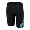 Arena Men S Kaia 4 ShortS  a5Sm1mf01 Blk 