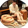 Stuffed Animals Giant Snakes Toy 110/160cm Doll Reptile Artificial  Python Plush Toy  Home Decor