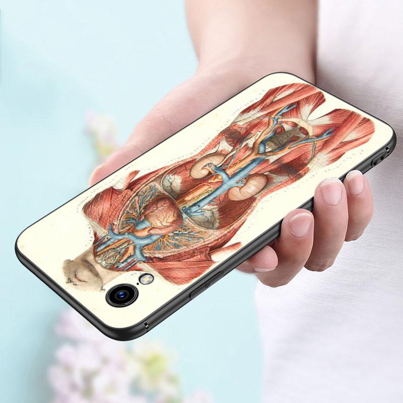 Medizinische Menschliche Organe Gehirn Meridian Niere Hohe Fall Für Apple iPhone 14 13 12 Mini 11 Pro Max 7 8 XR X XS 7 8 Plus SE 2020 2022