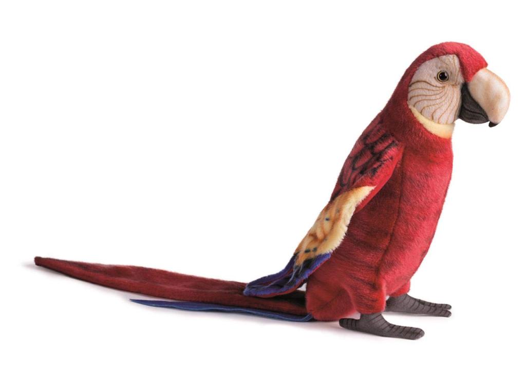 BH3067 HANSA Macaw 72