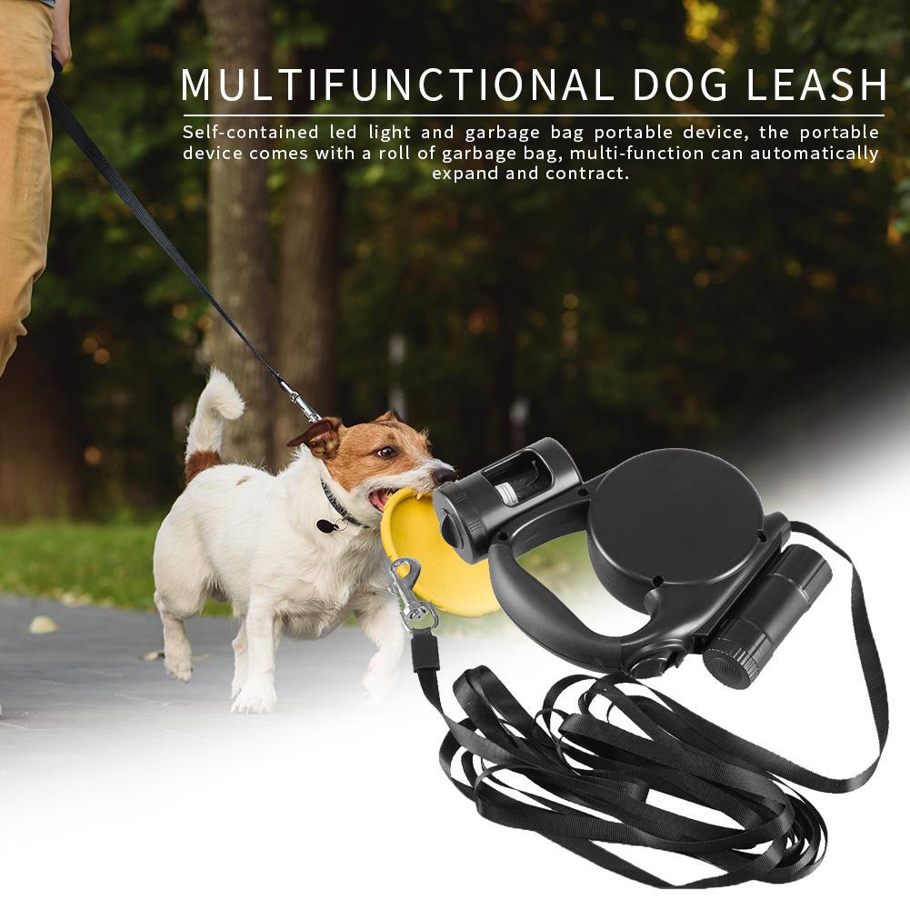 led lights for dog walking