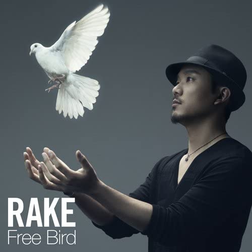 

CD RAKE - Free Bird ESCL4104 Japan ObiJapanese Pop/Rock Used