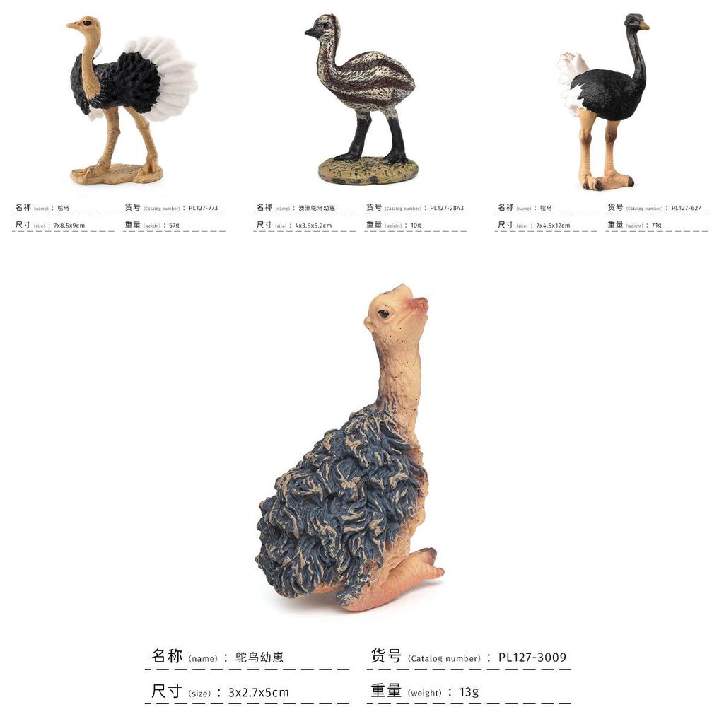 Childrens Bird Animal Model Pvc Realistic Australian Ostrich Baby Figurine For Educational Play And Farm Decor