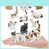 American Shorthair Cat Pvc Animal Figure Static Model For Childrens Playroom Decor