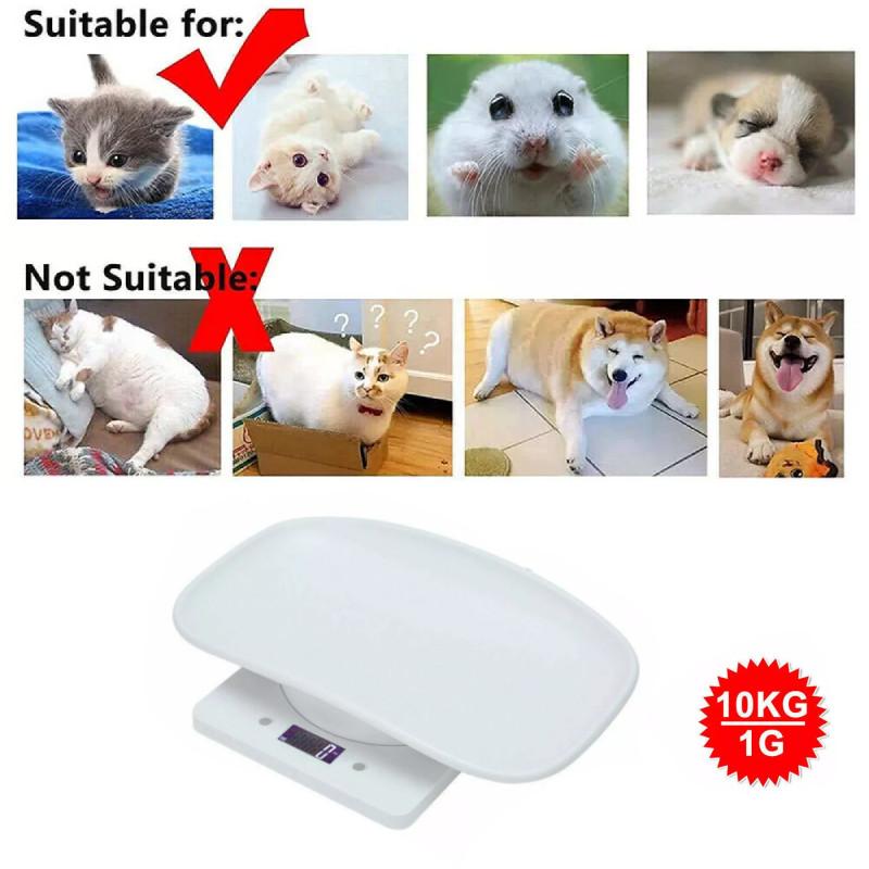 Accurate 10kg Electronic Pet Weighing Scale With Tray For Cats And Small Dogs