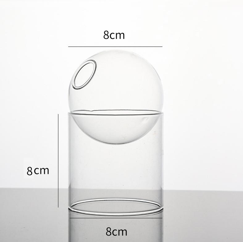 Vintage Round Glass Vase Borosilicate Mini Terrarium Stylish Water Plant Pot for Desktop Home Decor And Flower Arrangement
