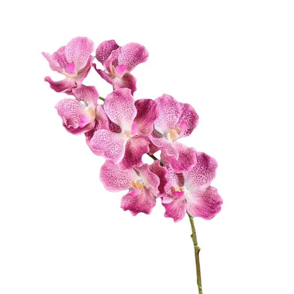 80 CM Length Artificial Orchid Flowers Moisturizing Latex Real Touch Orchids Home Decoration