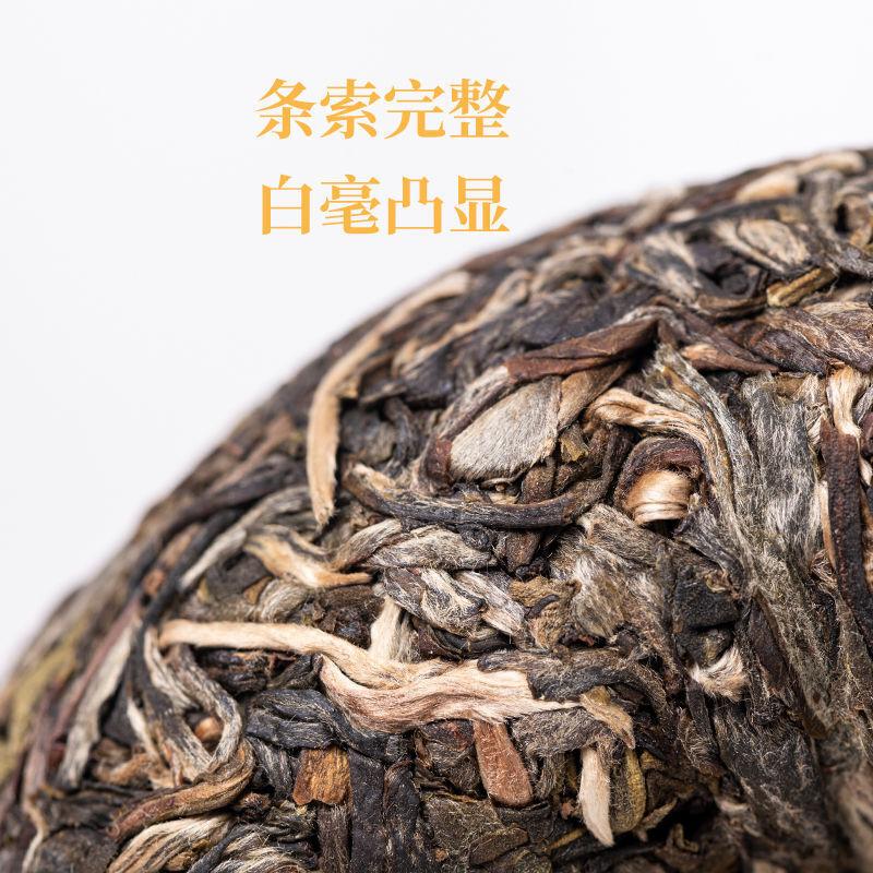 Yunnan Ancient Tree Puerh Tea Raw Tea Golden Melon Tribute Tea Yiwu 500g