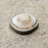 Loose Banded Eye Agate Cabochon Gemstone, 44.60 Carat Stone, 26x19x12 MM Size.